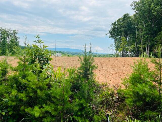 Bassett, VA 24055,Lot 3 Crestridge RD