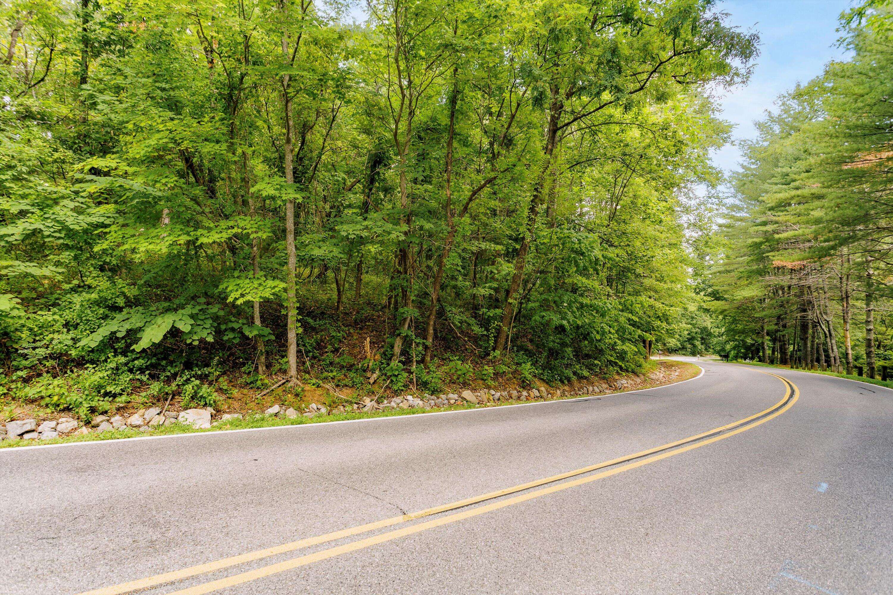 Roanoke, VA 24018,0 Bridlewood DR