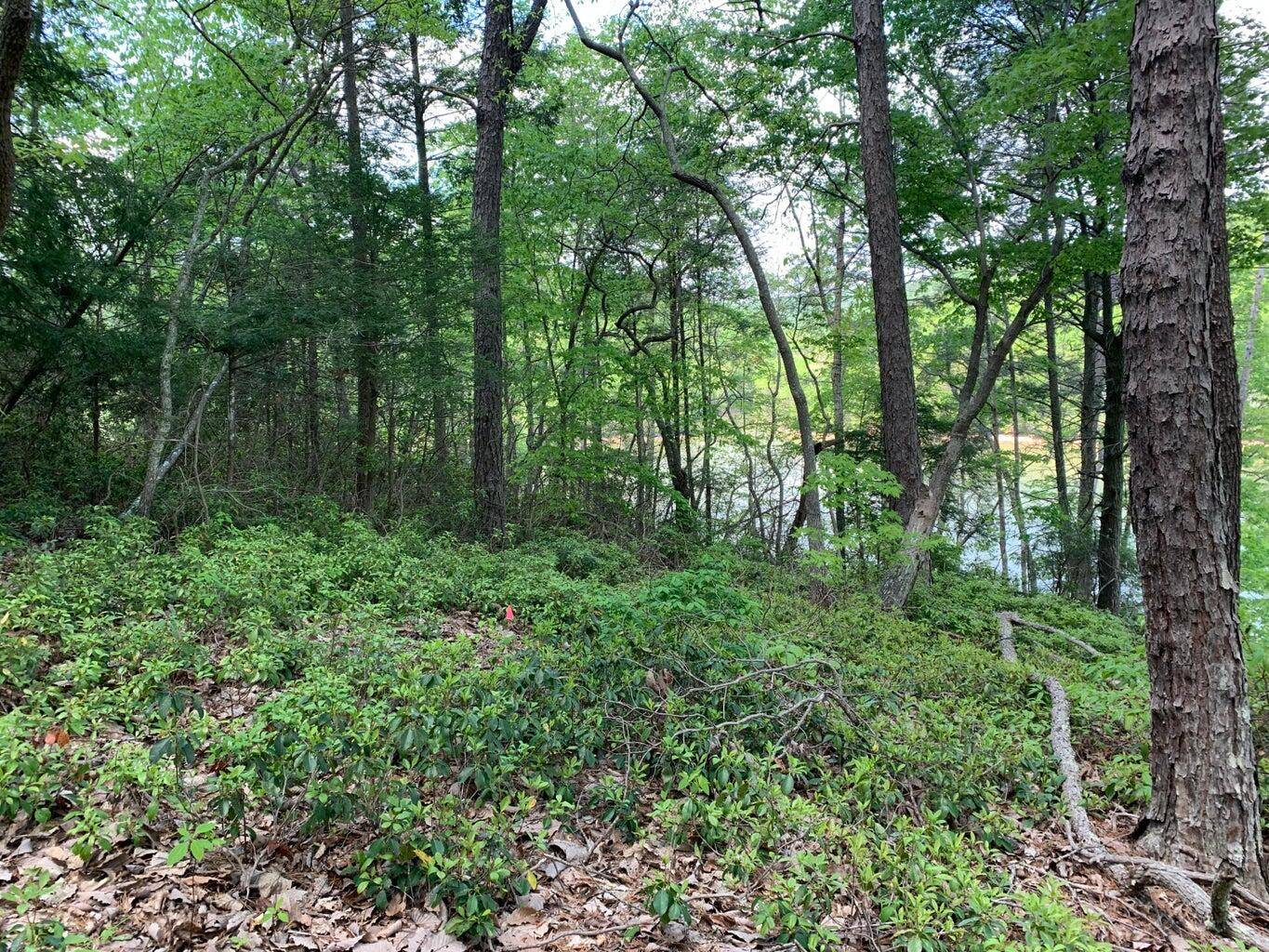 Pittsville, VA 24139,Lot 119 Greenberry DR