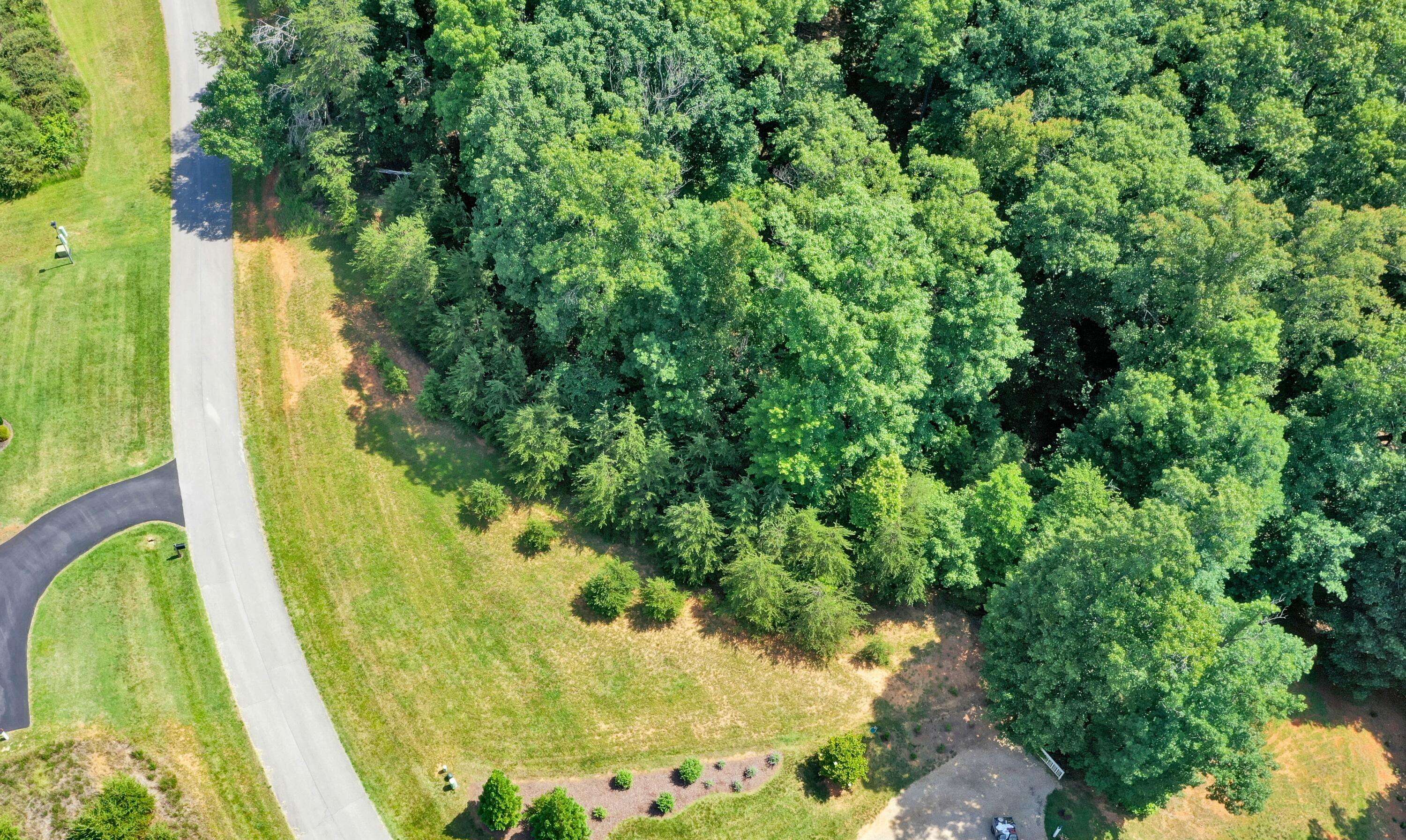 Hardy, VA 24101,Lot 26 Palmetto Bluff RD