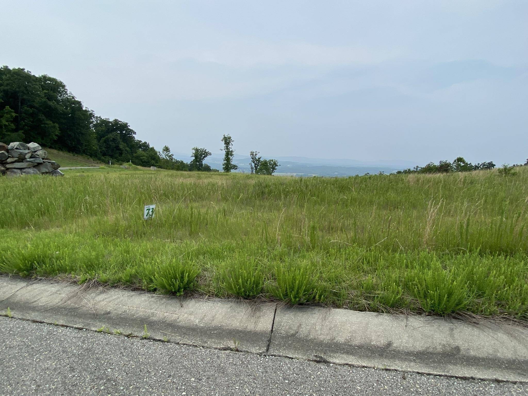 Rocky Mount, VA 24151,LOT 73 PENNY LN