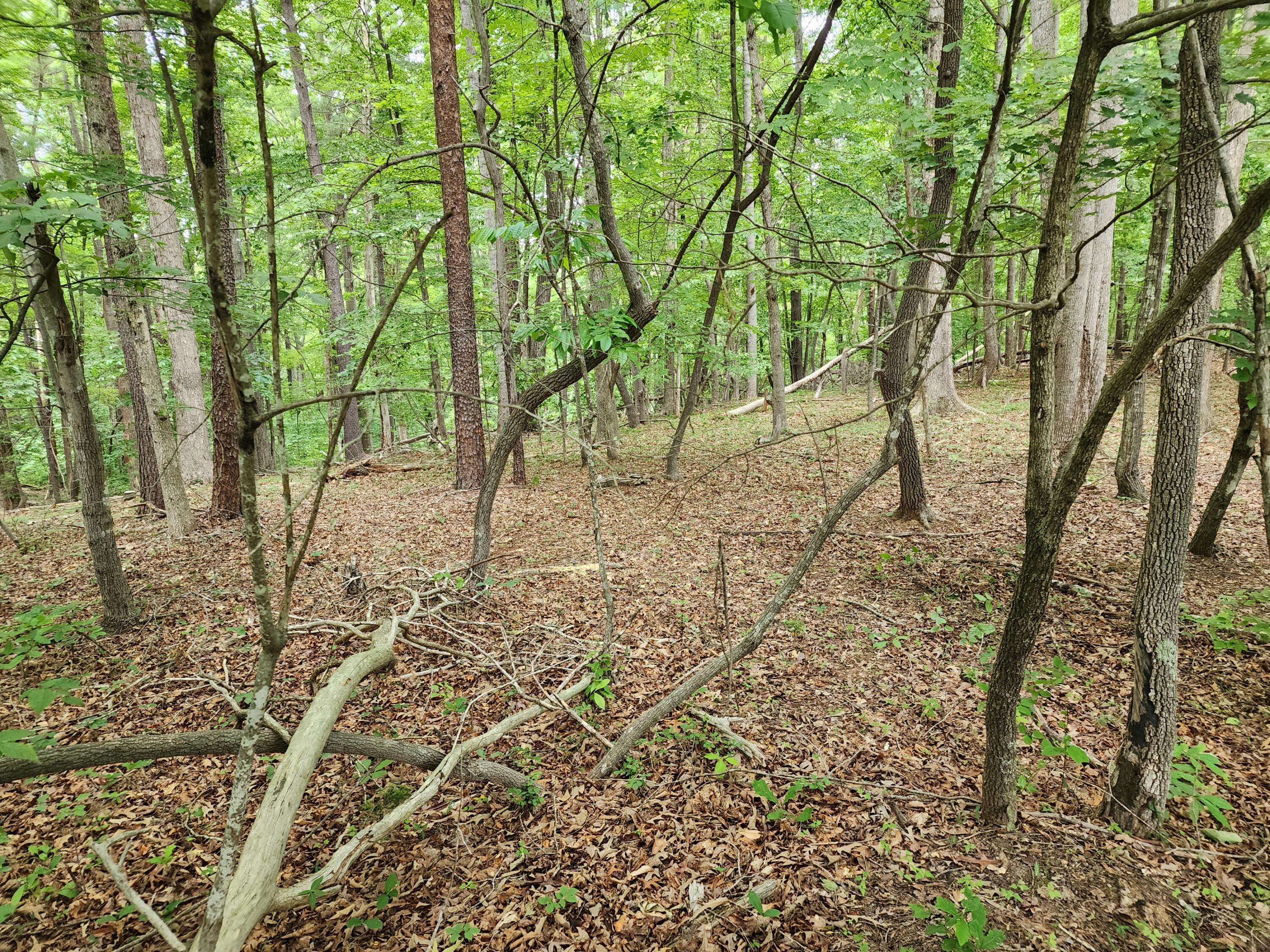 Rocky Mount, VA 24151,Lot 17 Woods Edge DR