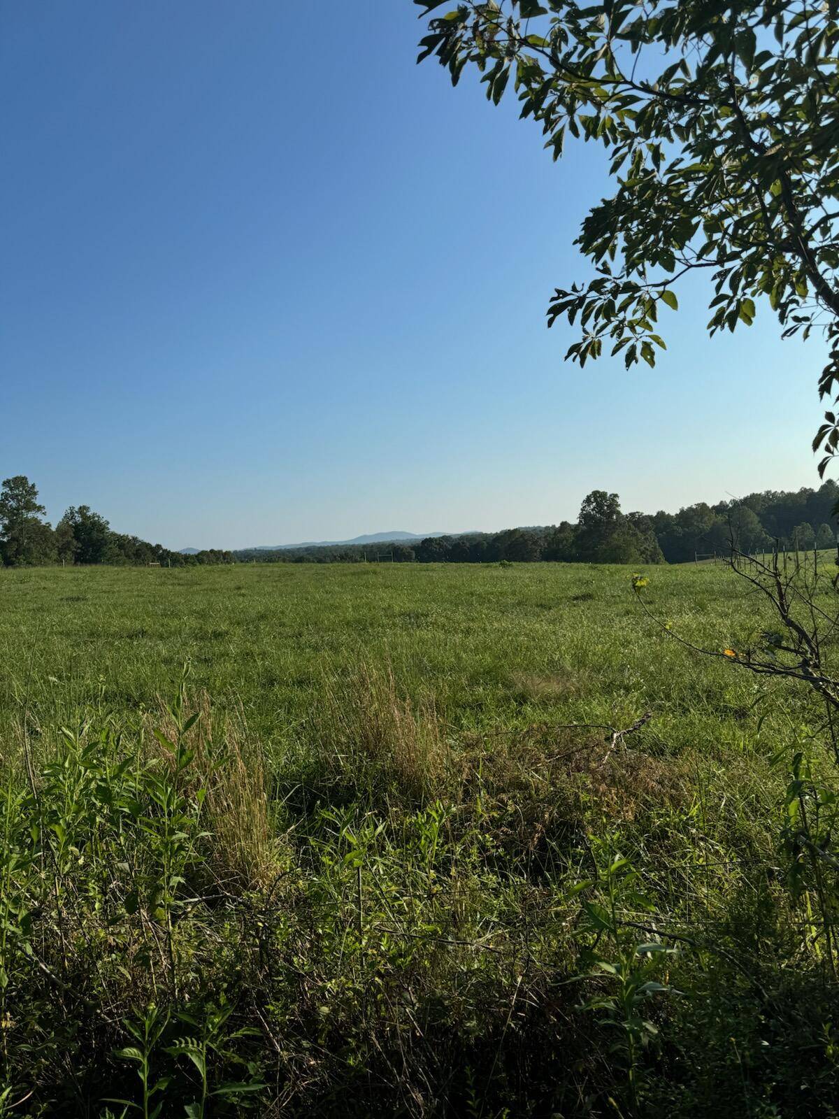 Rocky Mount, VA 24151,Lot 12 English RD