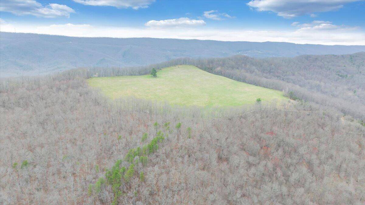 Bastian, VA 24314,0 Clear Fork Creek RD