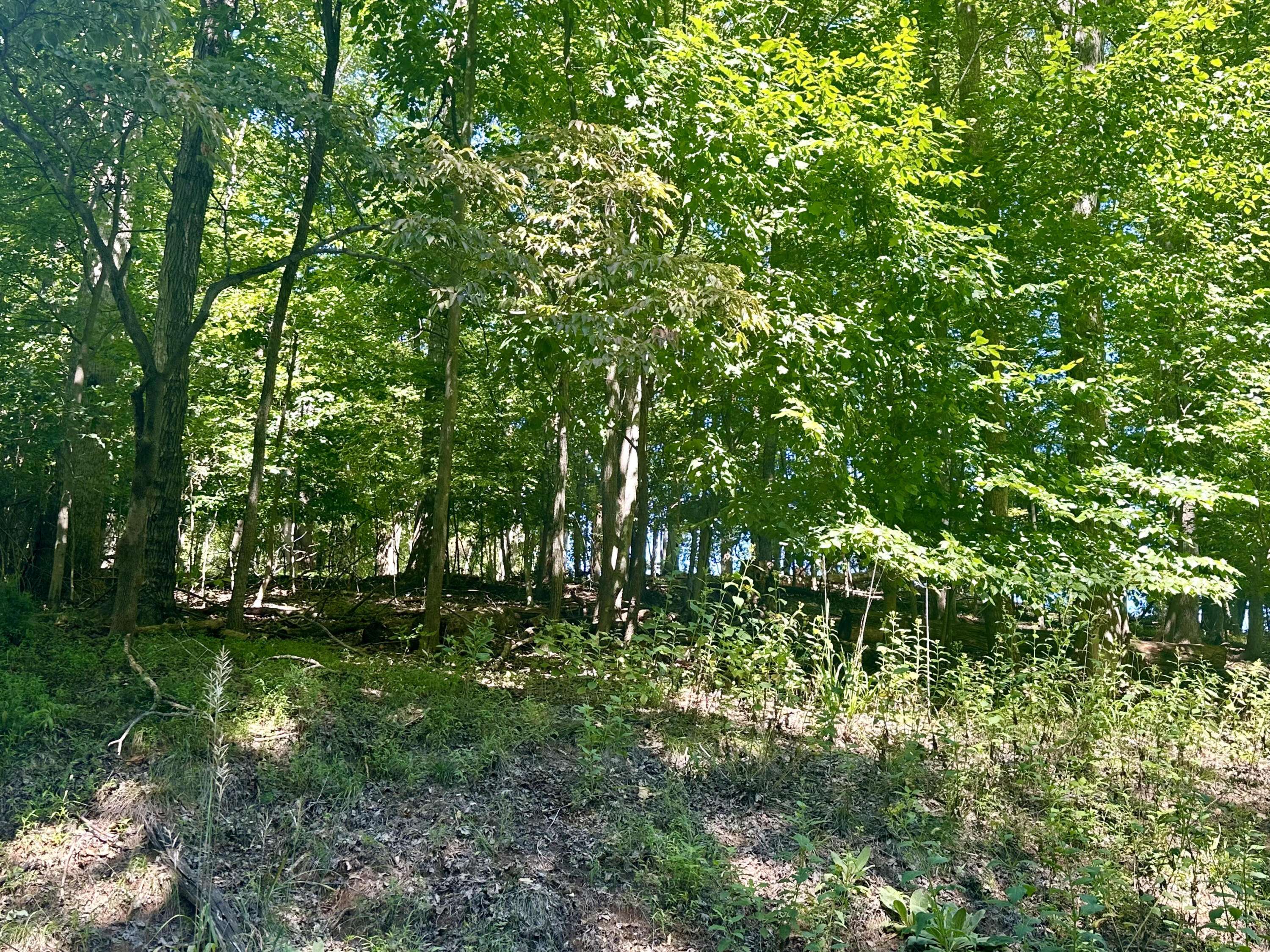 Moneta, VA 24121,LOT 1 Whisperwood LN