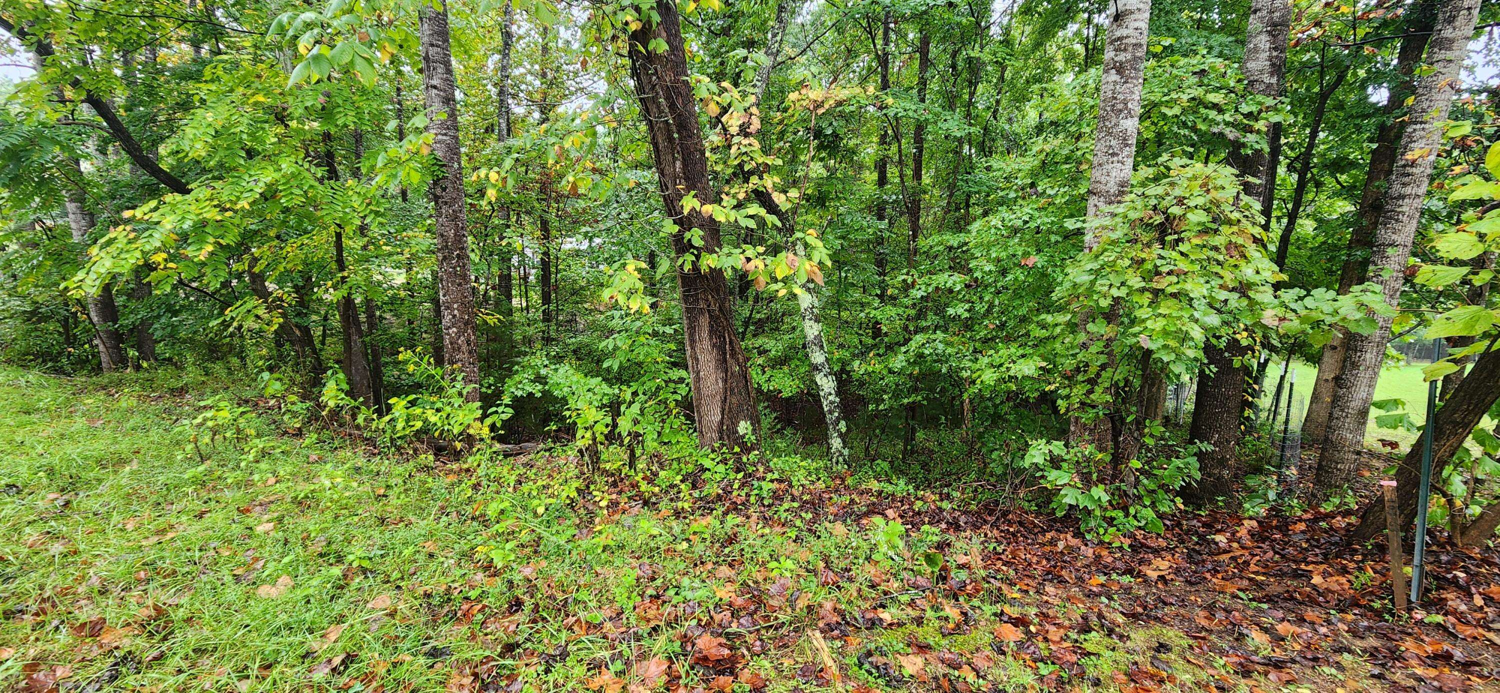 Rocky Mount, VA 24151,Lot 63 Circle View ST