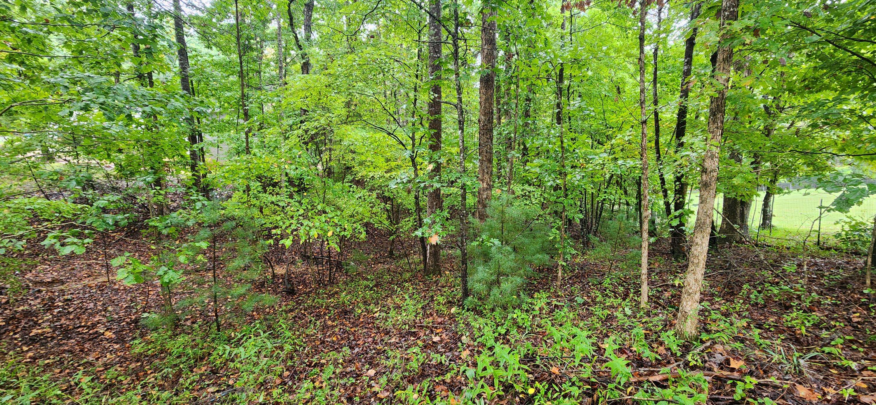 Rocky Mount, VA 24151,Lot 63 Circle View ST