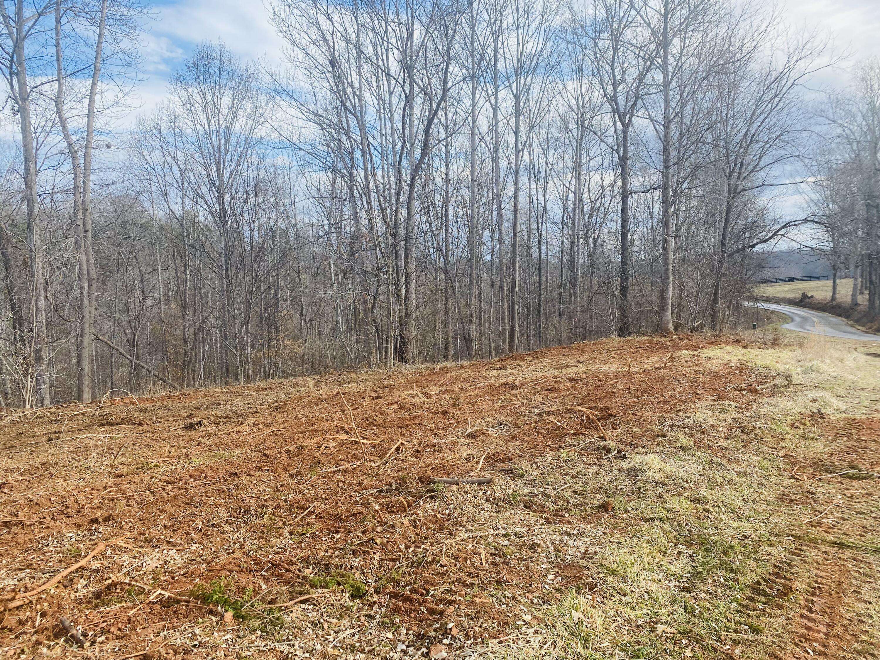 Goodview, VA 24095,Lot 3 Horseshoe Bend RD