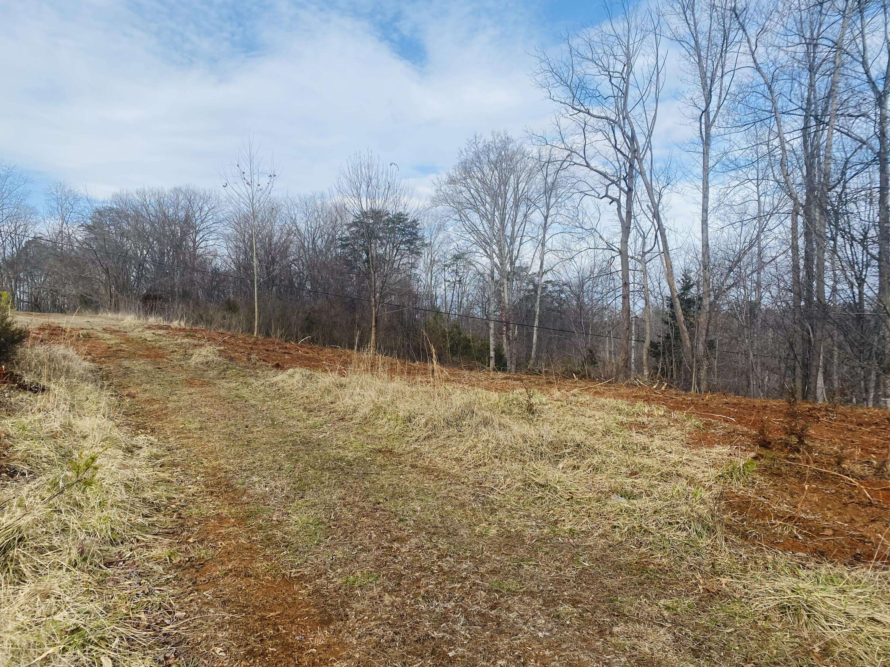 Goodview, VA 24095,Lot 3 Horseshoe Bend RD