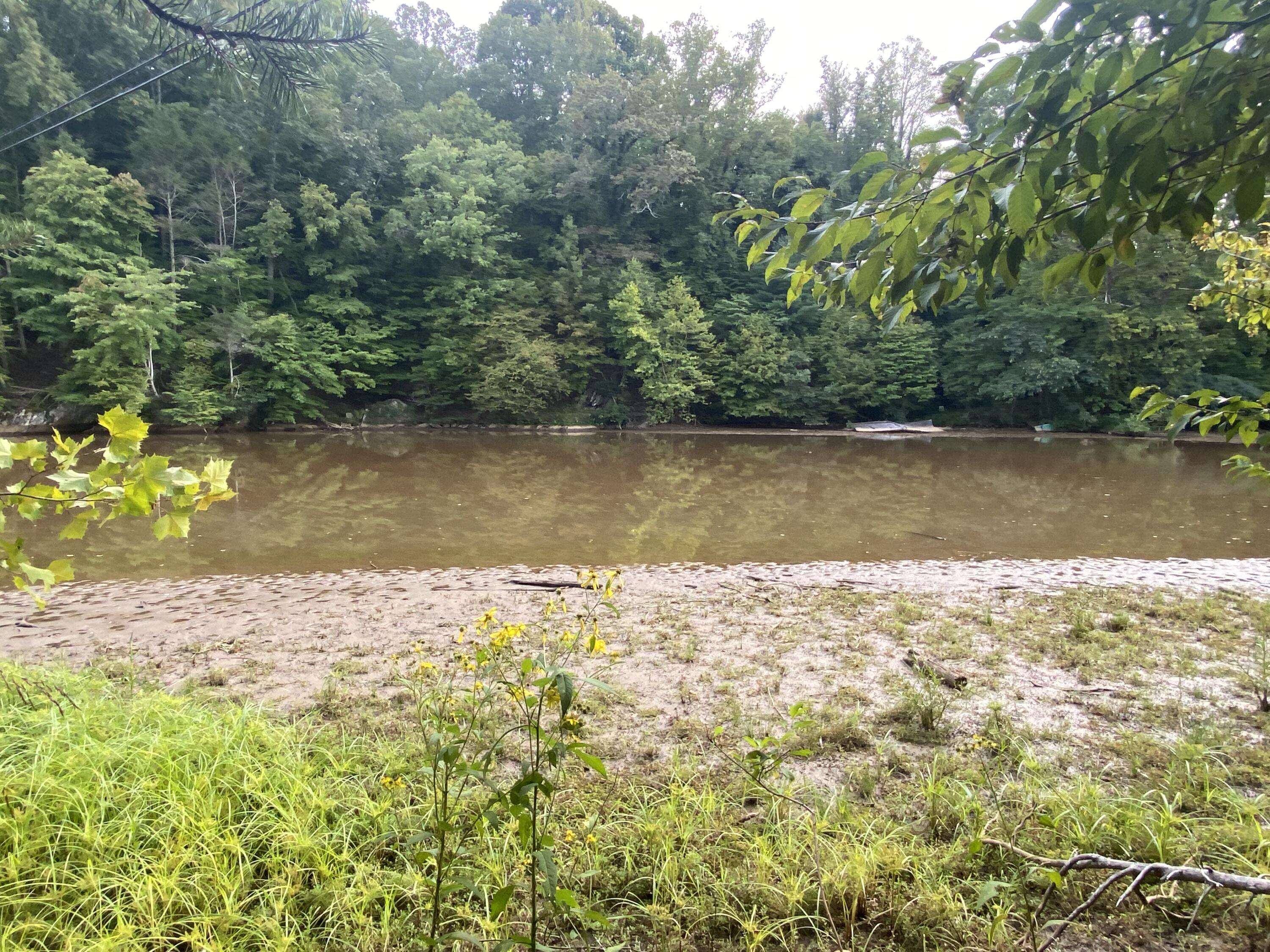 Hardy, VA 24101,Lot 3 Cedar Bluff LN