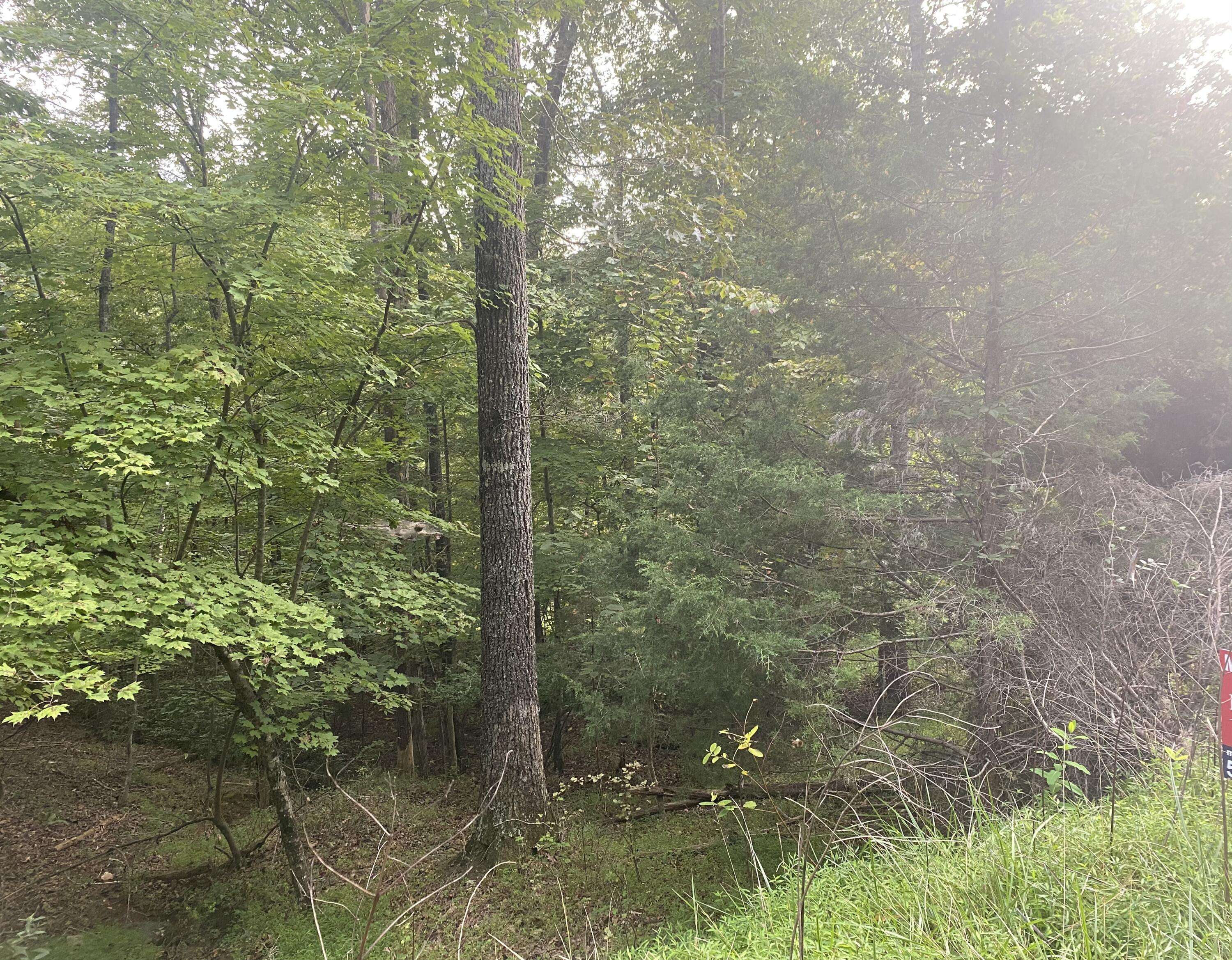 Hardy, VA 24101,Lot 3 Cedar Bluff LN