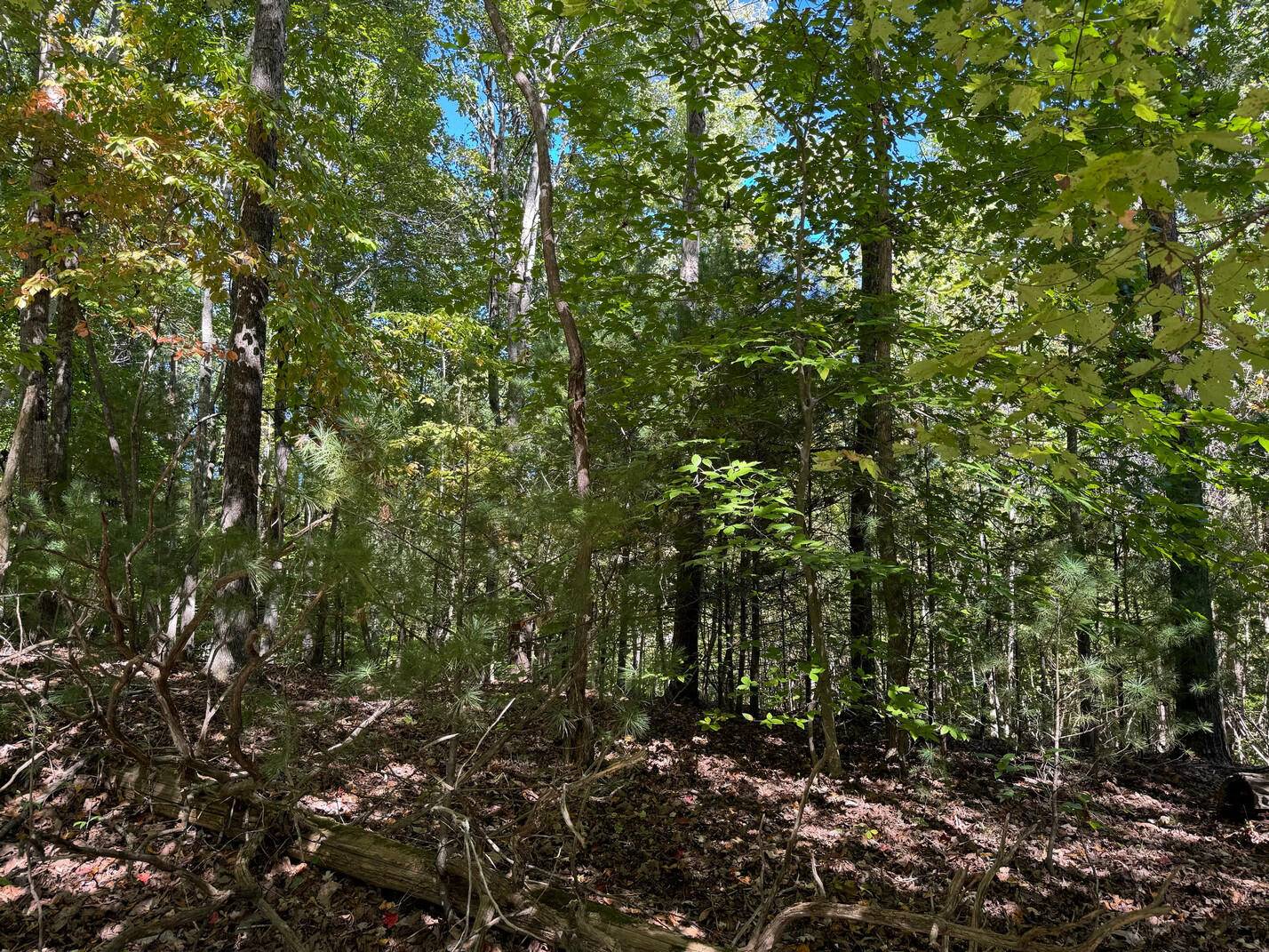 Boones Mill, VA 24065,Lot 3 Narrows RD