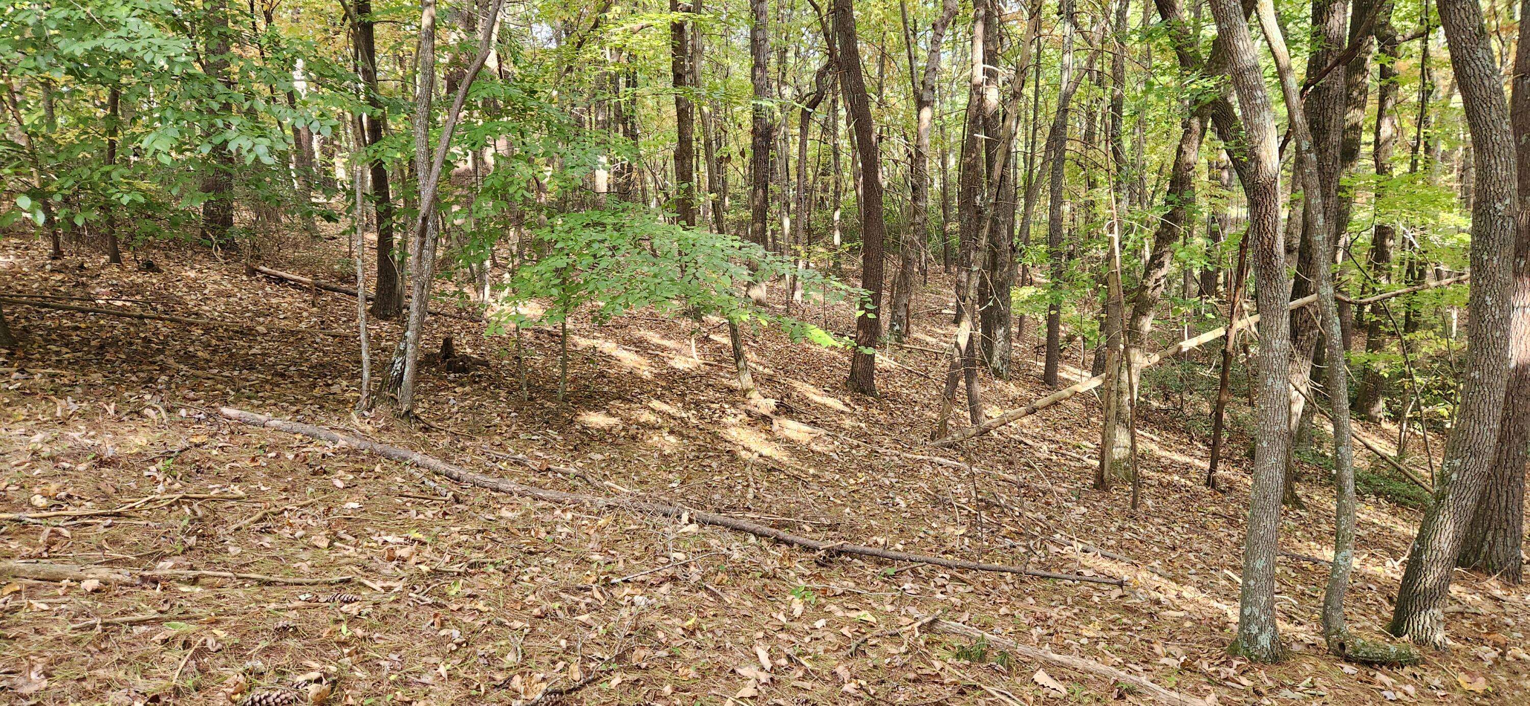 Ferrum, VA 24088,Lot 11 Ferrum Forest RD