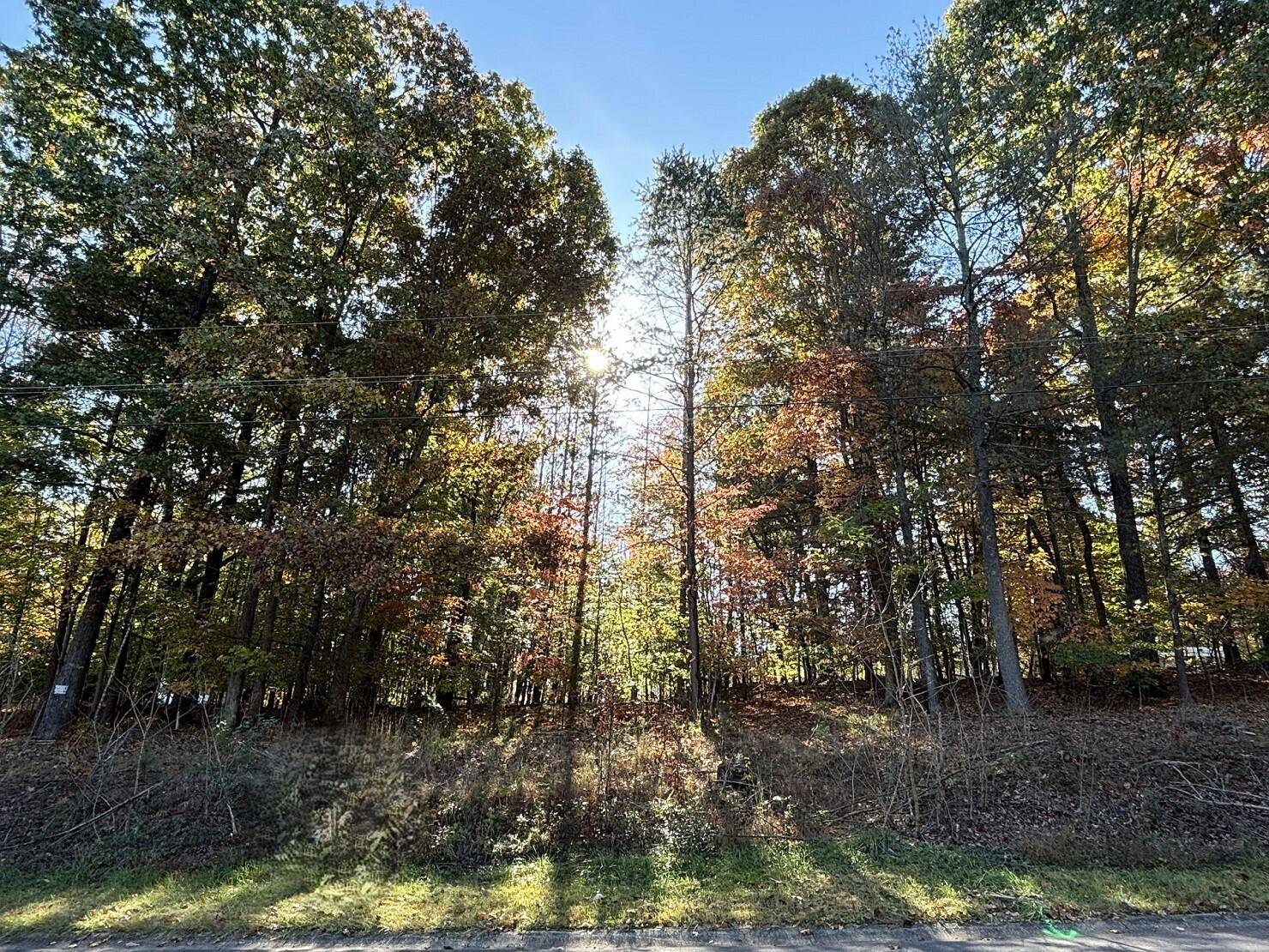 Rocky Mount, VA 24151,Lot 4 Greenview DR