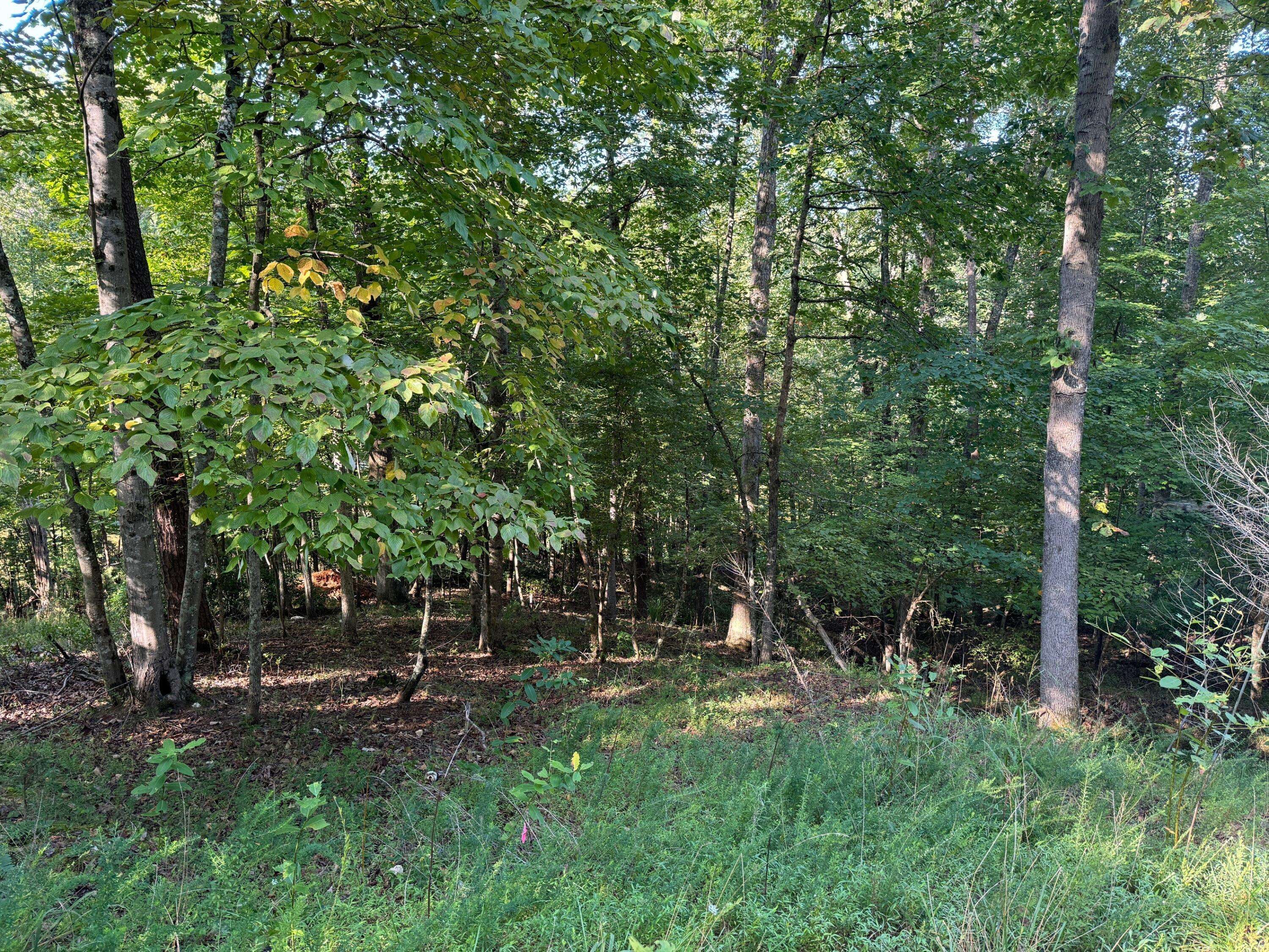 Hardy, VA 24101,Lot 2 Cedar Bluff LN