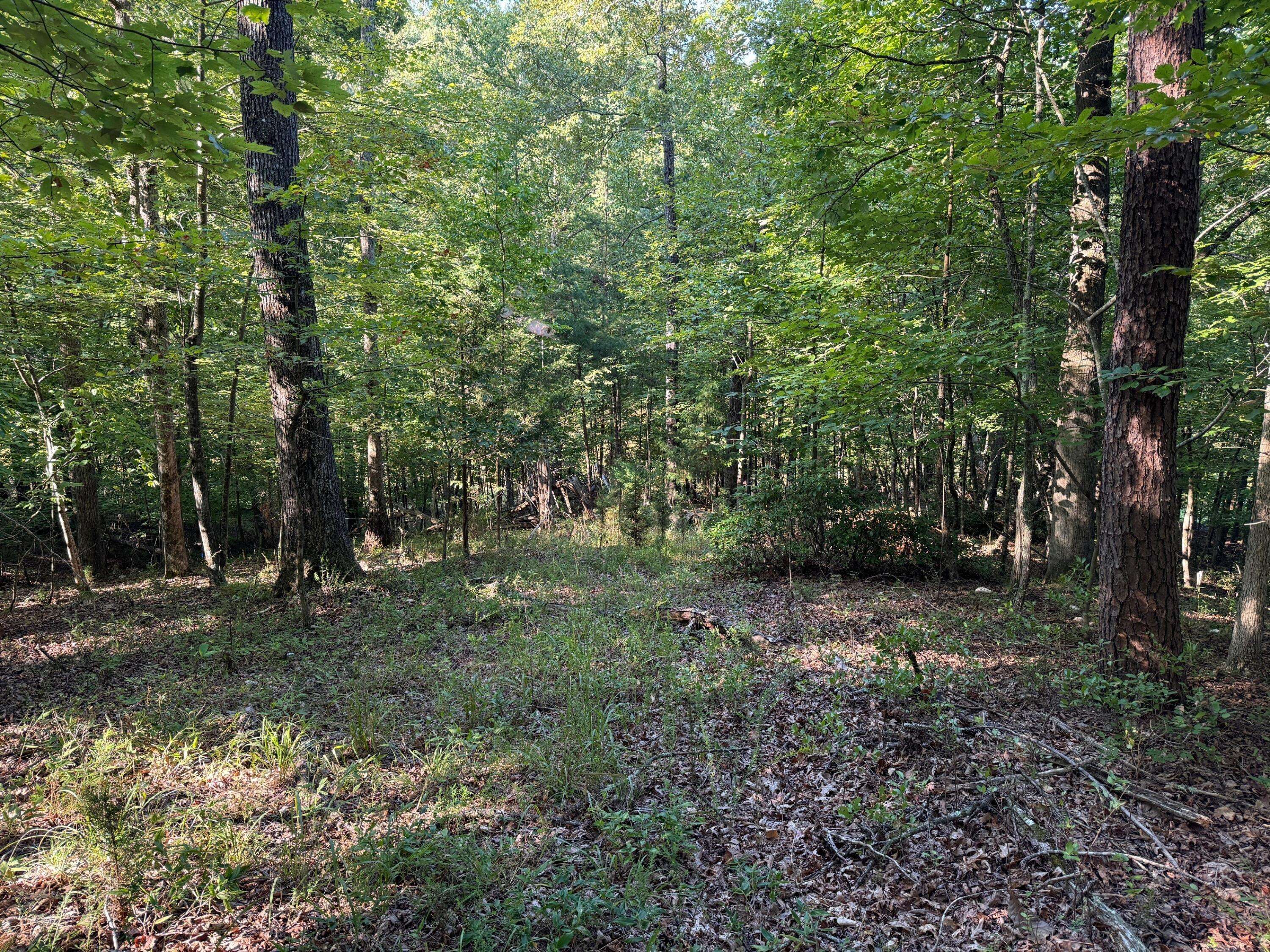 Hardy, VA 24101,Lot 2 Cedar Bluff LN