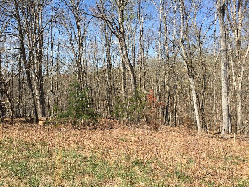 Moneta, VA 24121,Lot 1 South Pointe Shore DR