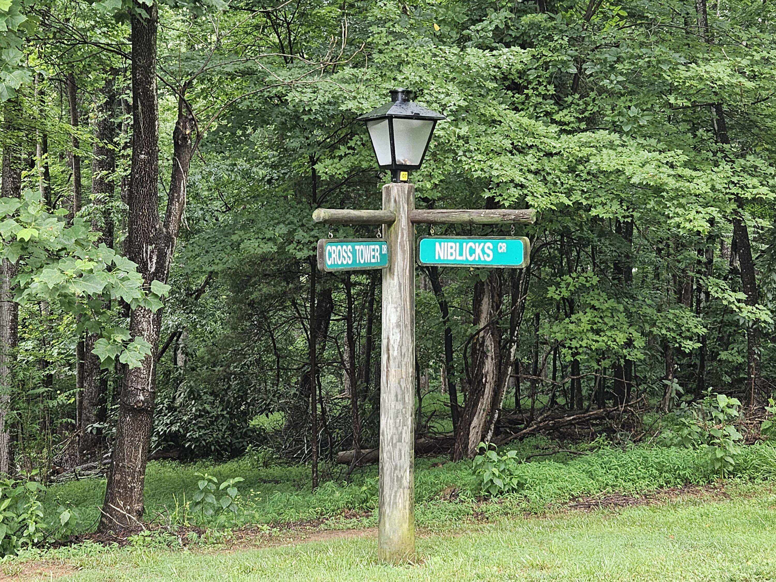 Penhook, VA 24137,Lot 273 Niblicks CIR