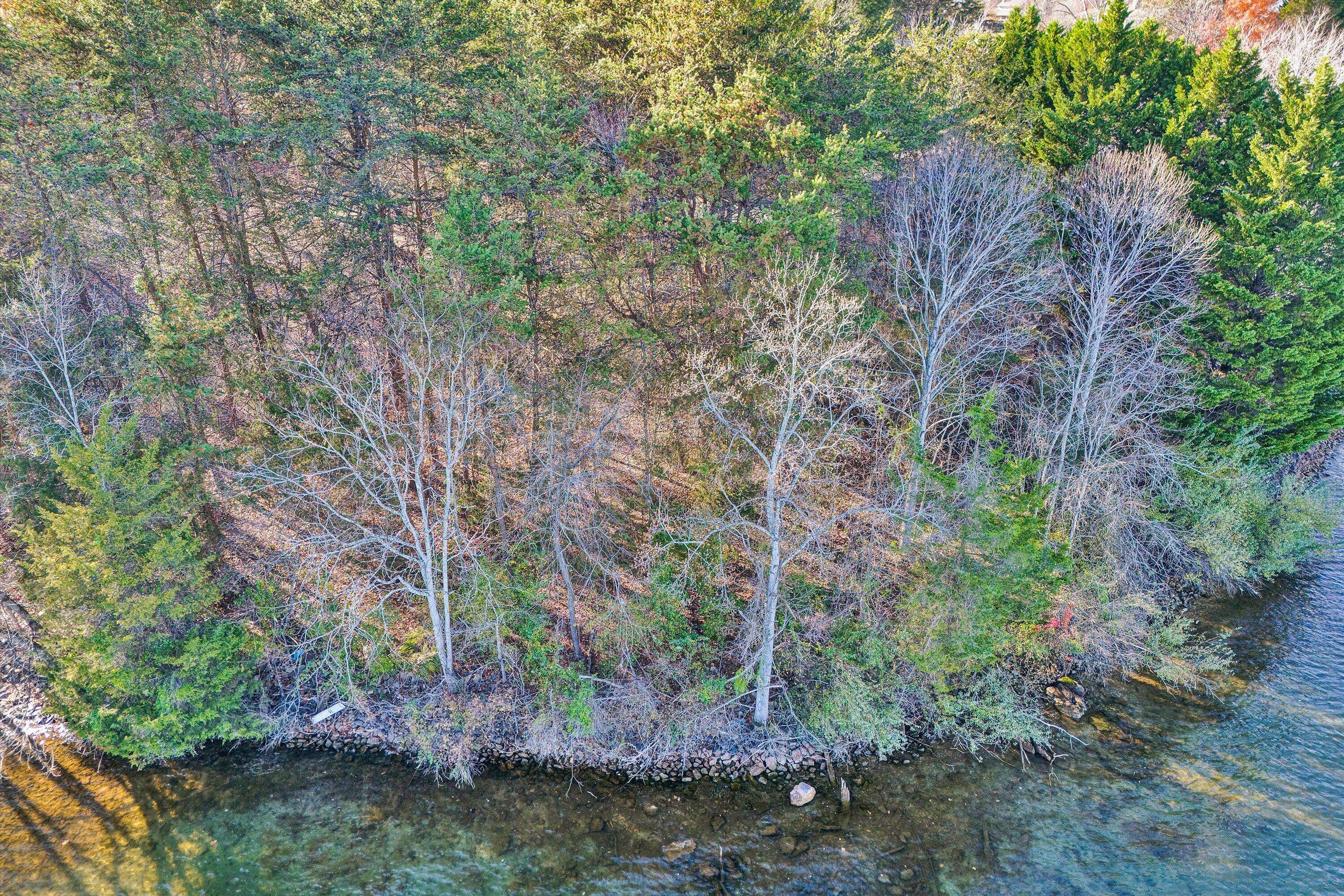 Moneta, VA 24121,Lot 10 Riverbay DR