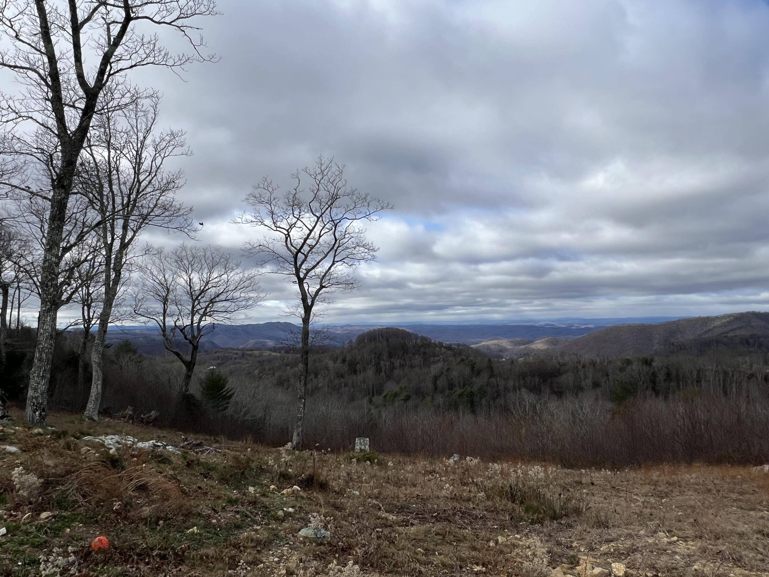 Copper Hill, VA 24079,0 Mountainside TRL NE