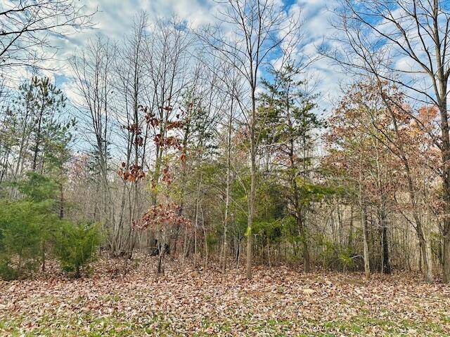 Moneta, VA 24121,Lot 7 Waterford DR