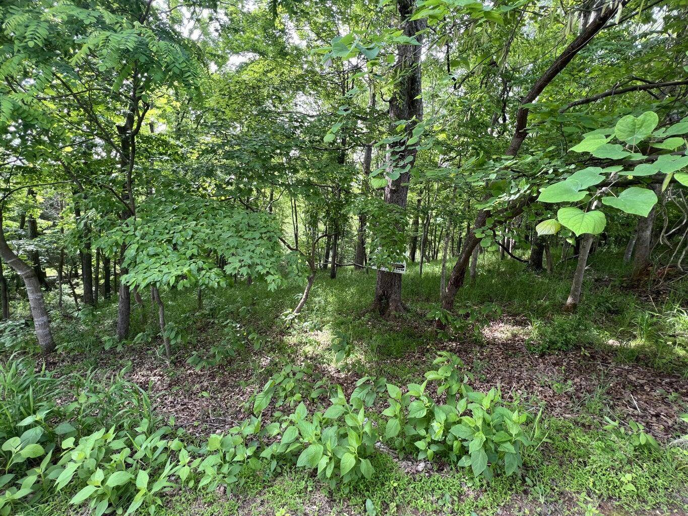 Bedford, VA 24523,Lot 21 Twin Lake DR