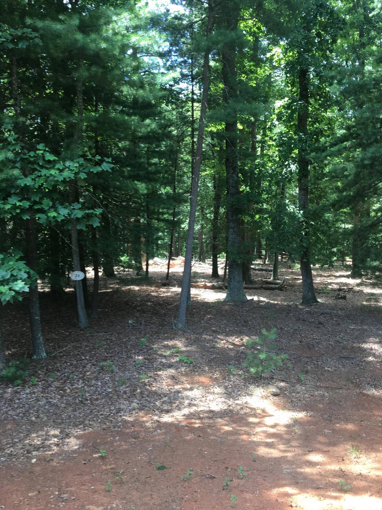 Vinton, VA 24179,LOT 24 RIVER ROCK RD