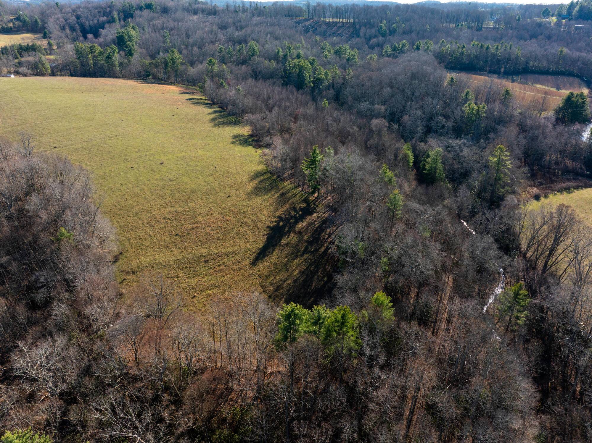 Laurel Fork, VA 24352,0 Dry Twig RD