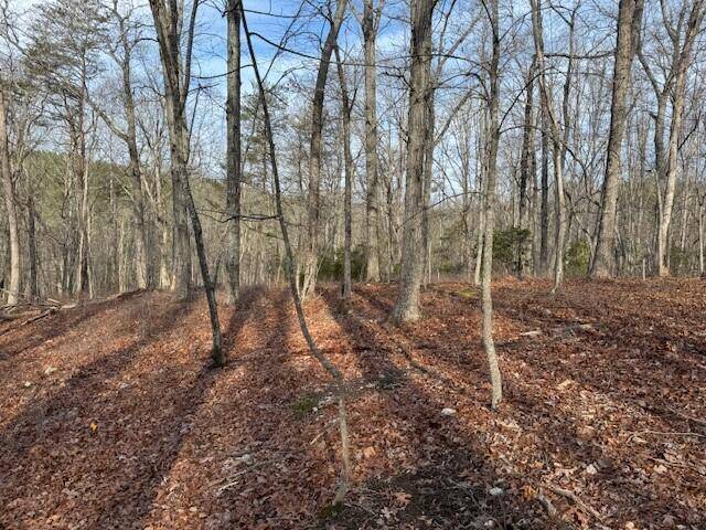 Hardy, VA 24101,Lot 36 Chestnut DR