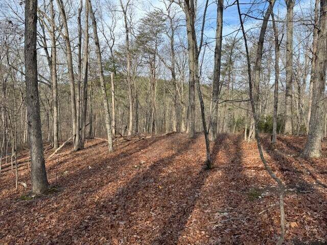 Hardy, VA 24101,Lot 38 Chestnut DR