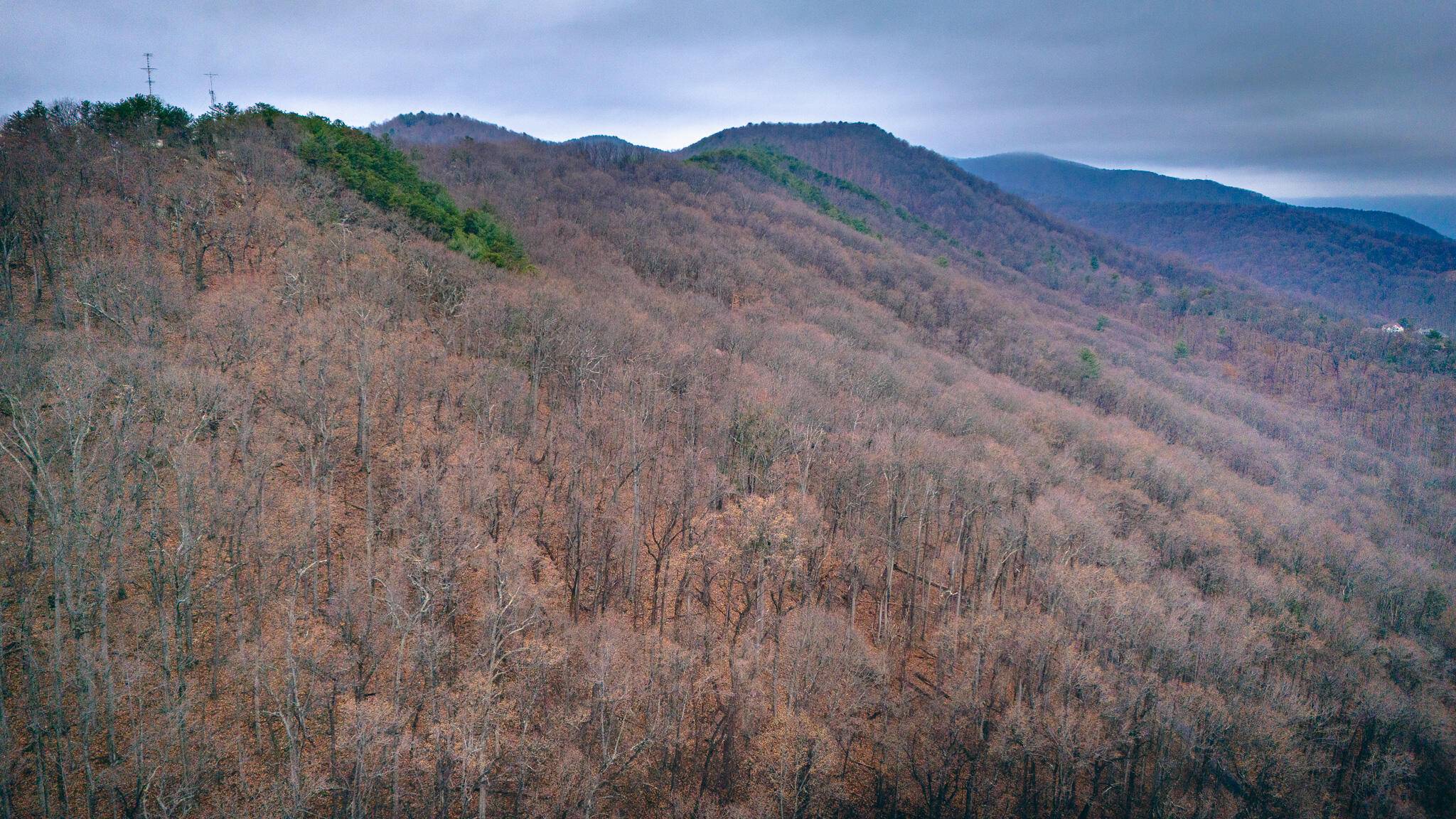 Roanoke, VA 24018,0 Sugar  Loaf Mountain RD
