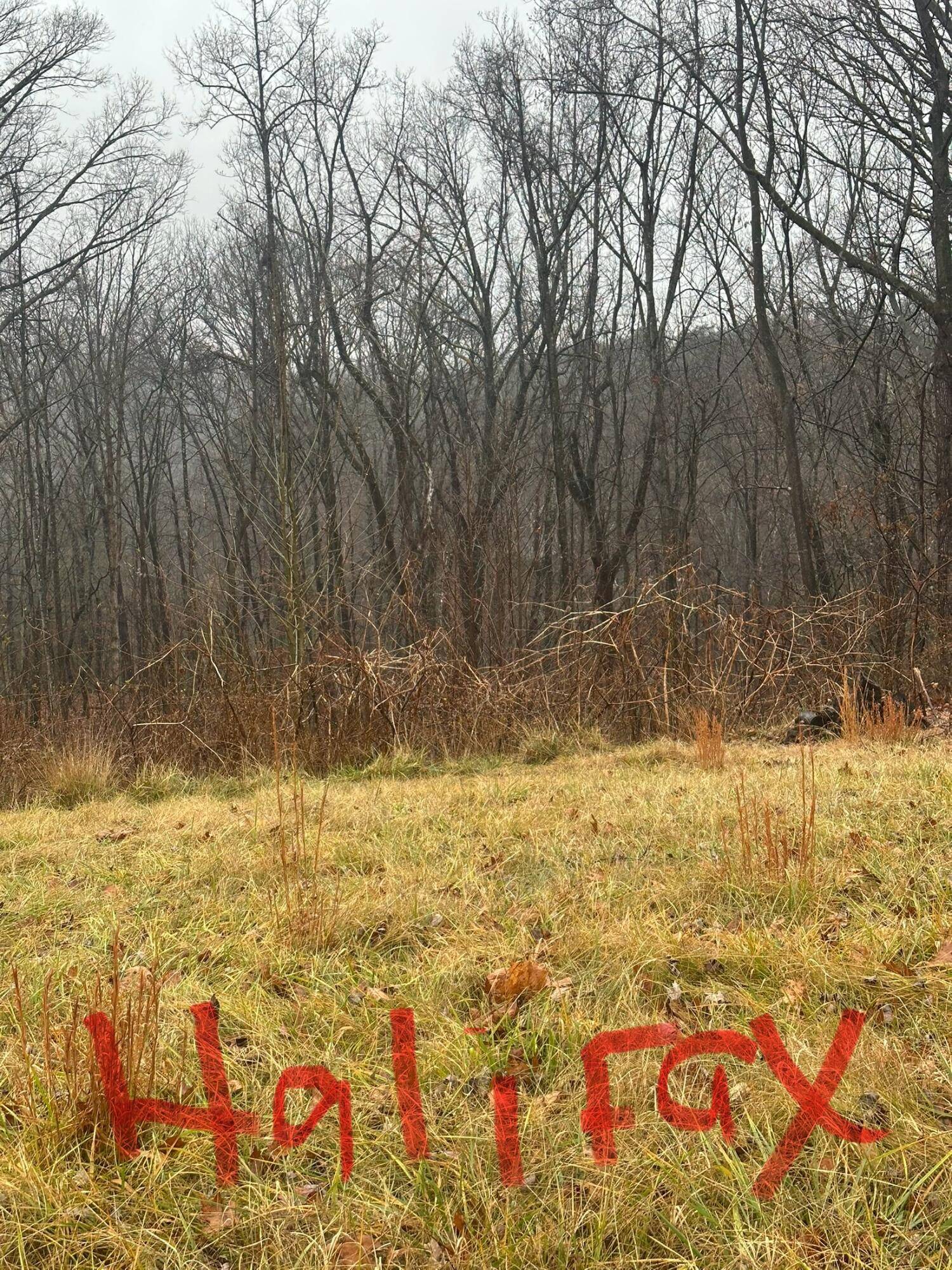 Vinton, VA 24179,0 Halifax CIR