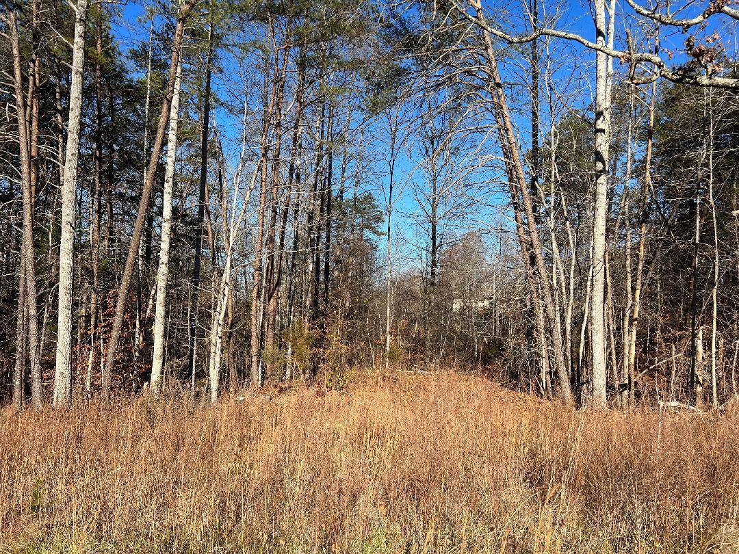 Hardy, VA 24101,Lot 10 Barrett RD