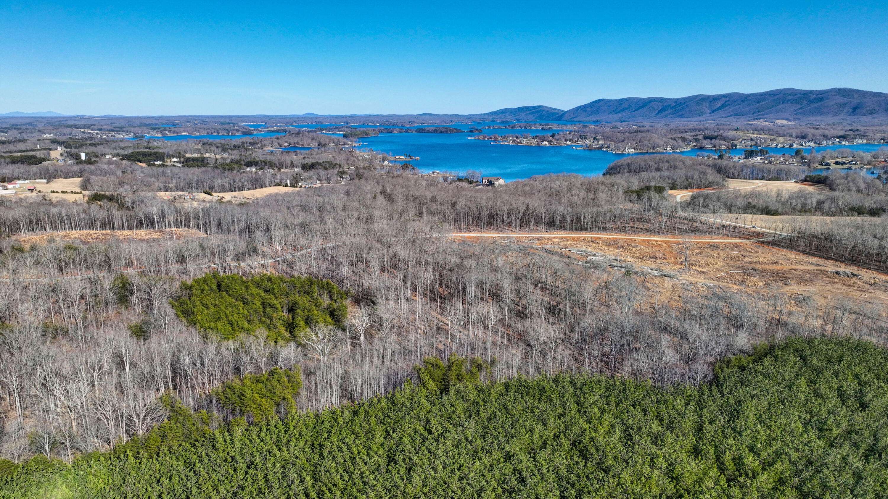Union Hall, VA 24176,Lot 32 Hidden Treasures LN
