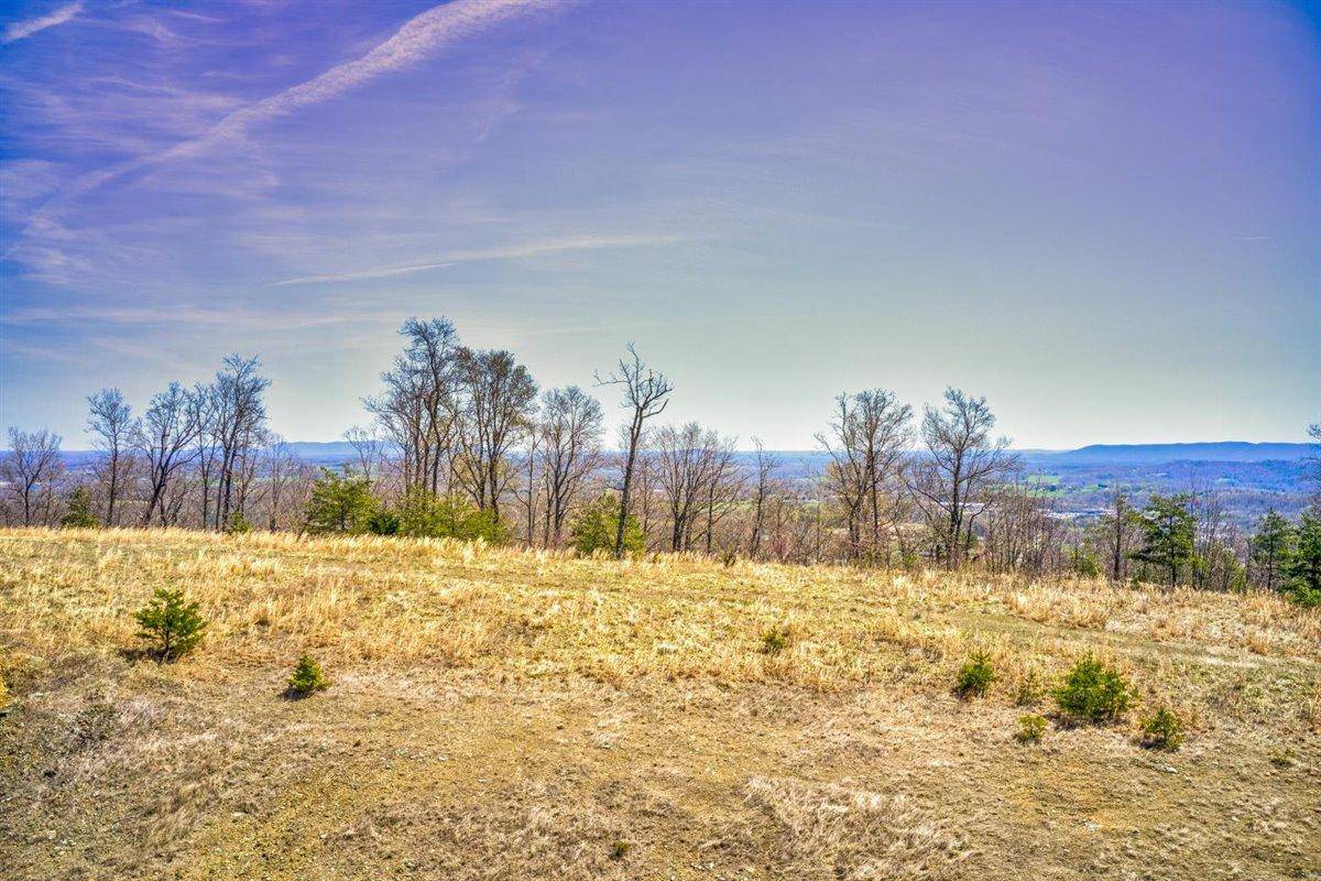 Rocky Mount, VA 24151,Lot 63 Penny LN