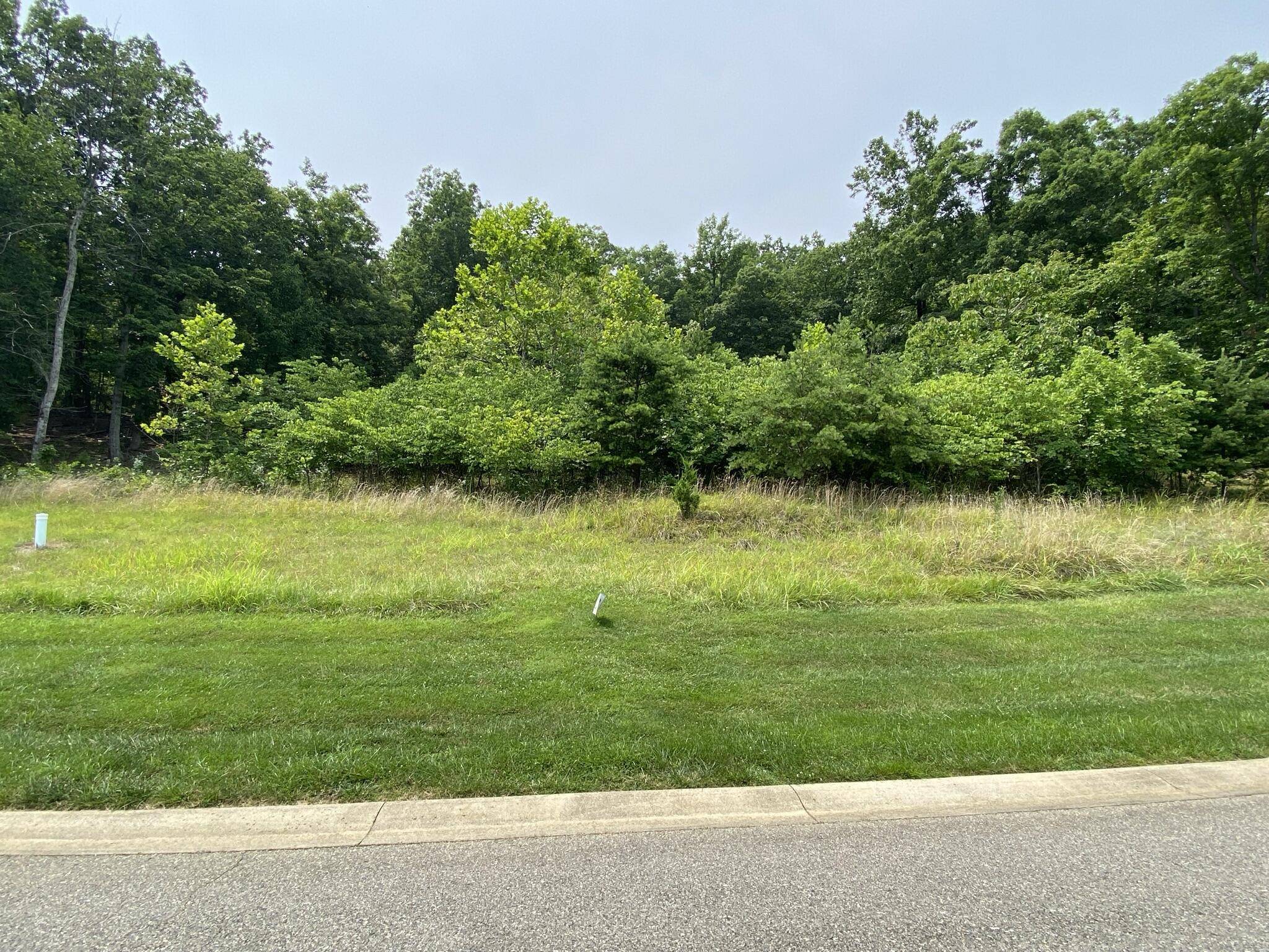 Rocky Mount, VA 24151,LOT 12 SUMMIT DR