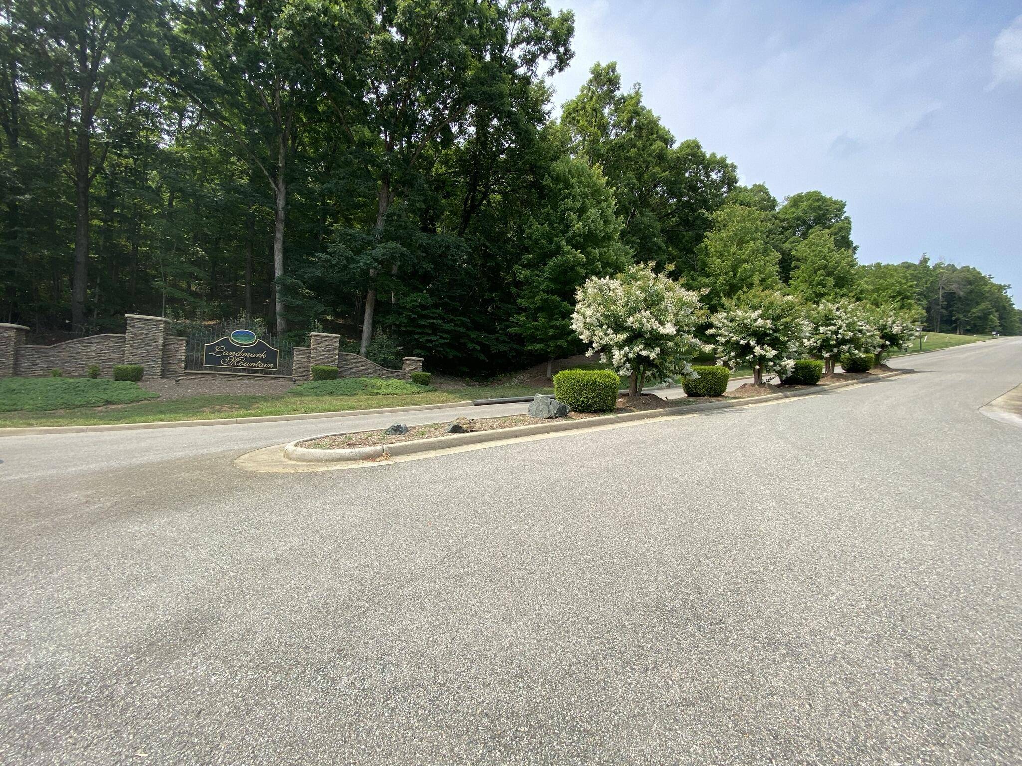 Rocky Mount, VA 24151,Lot 20 Summit DR