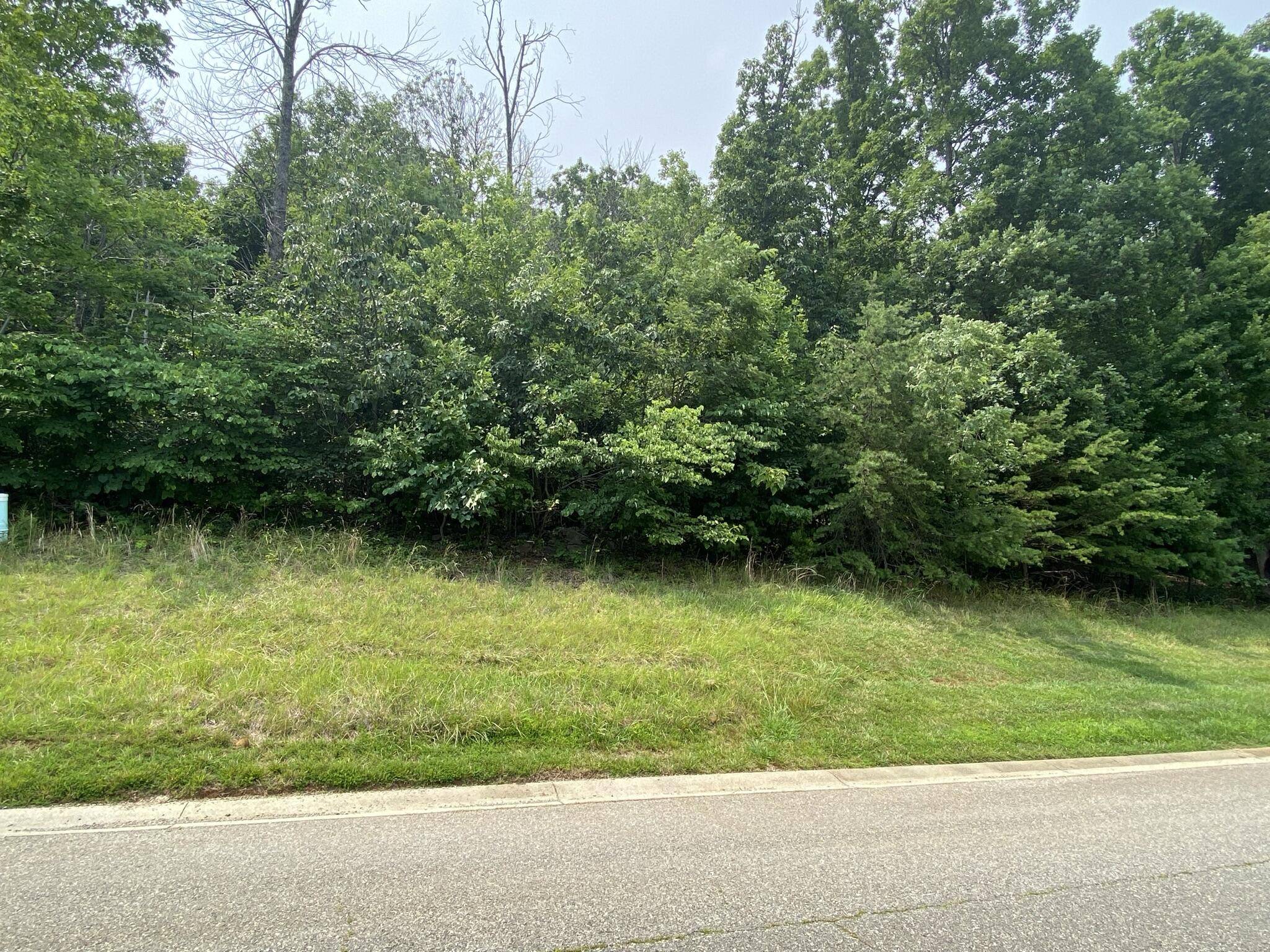 Rocky Mount, VA 24151,Lot 20 Summit DR