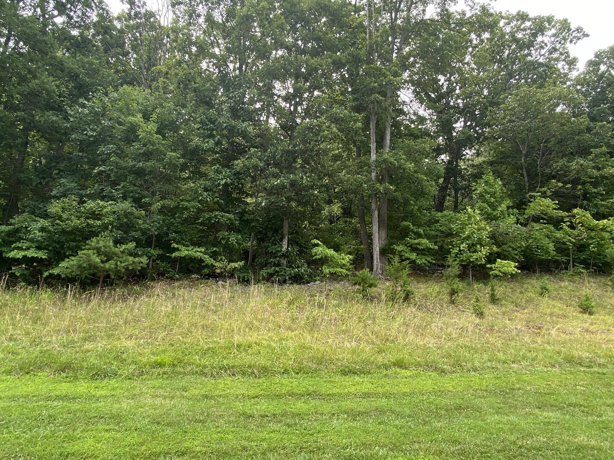 Rocky Mount, VA 24151,LOT 21 SUMMIT DR