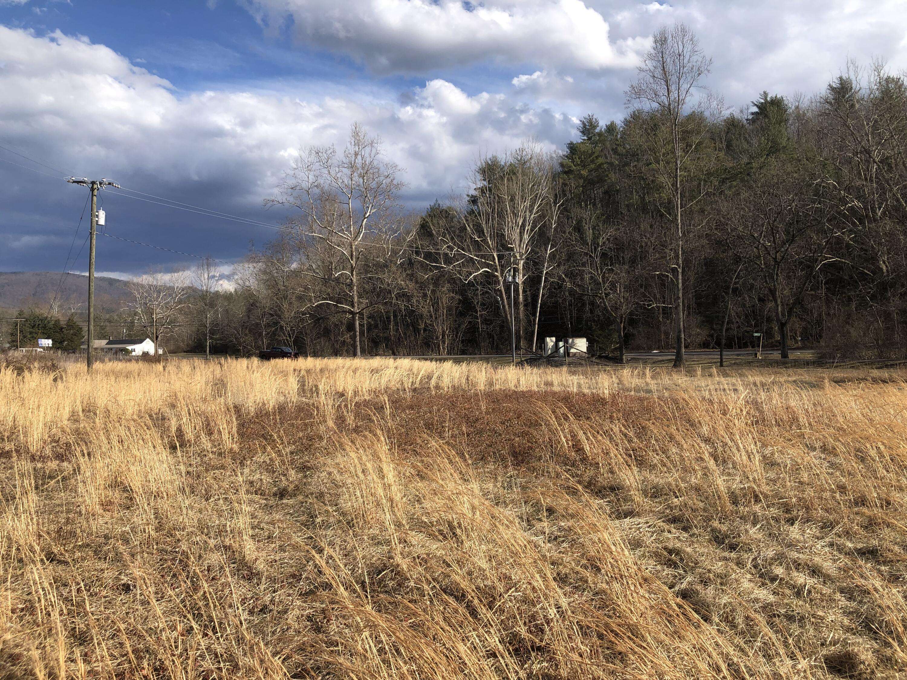 Clifton Forge, VA 24422,000 Bennington LN