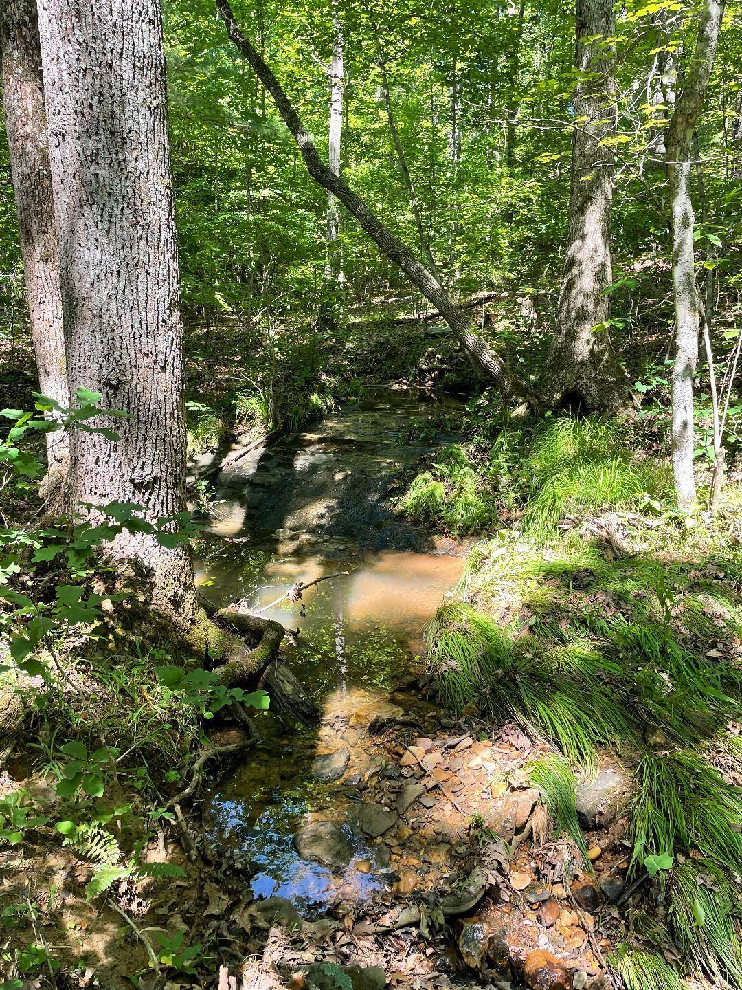 Wirtz, VA 24184,LOT9 GREYSTONE DR