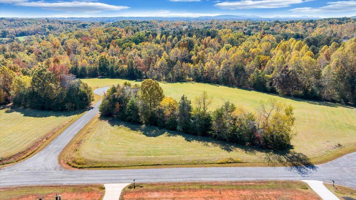 Wirtz, VA 24184,Lot 36 Shearwater DR