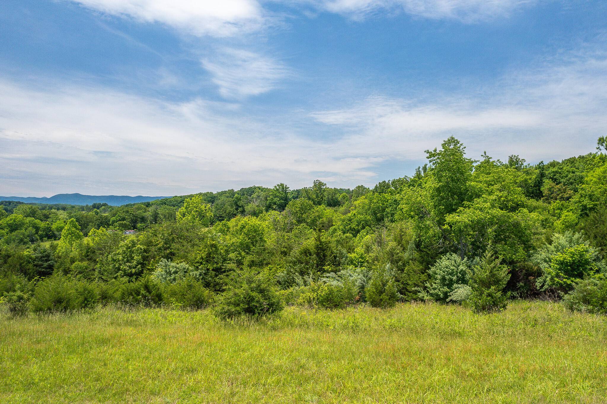 Lexington, VA 24450,Lot 21 Meadow Grove DR