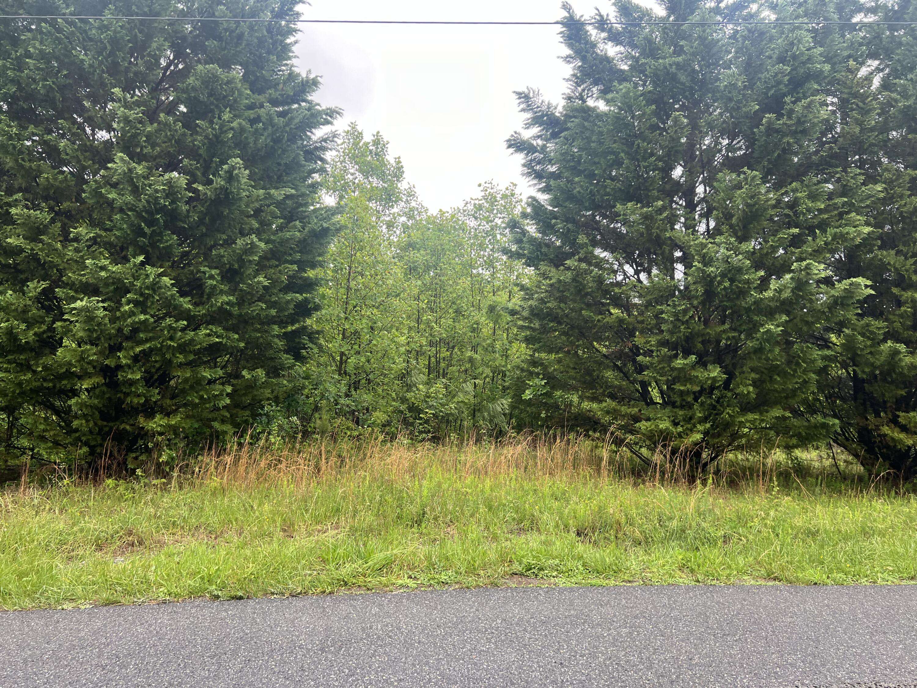 Vinton, VA 24179,0 Nemmo RD