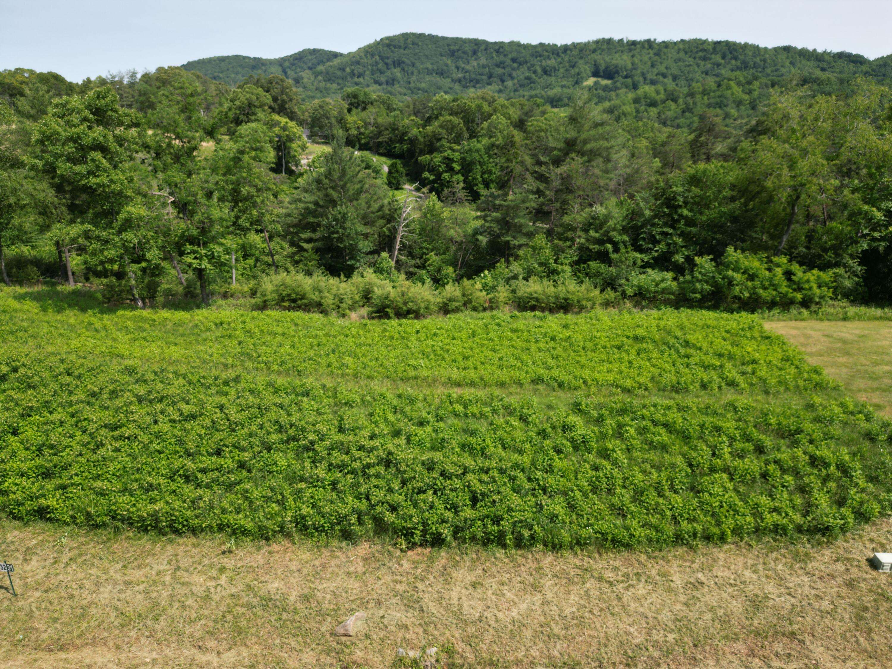 Vinton, VA 24179,Lot 31 River Rock RD