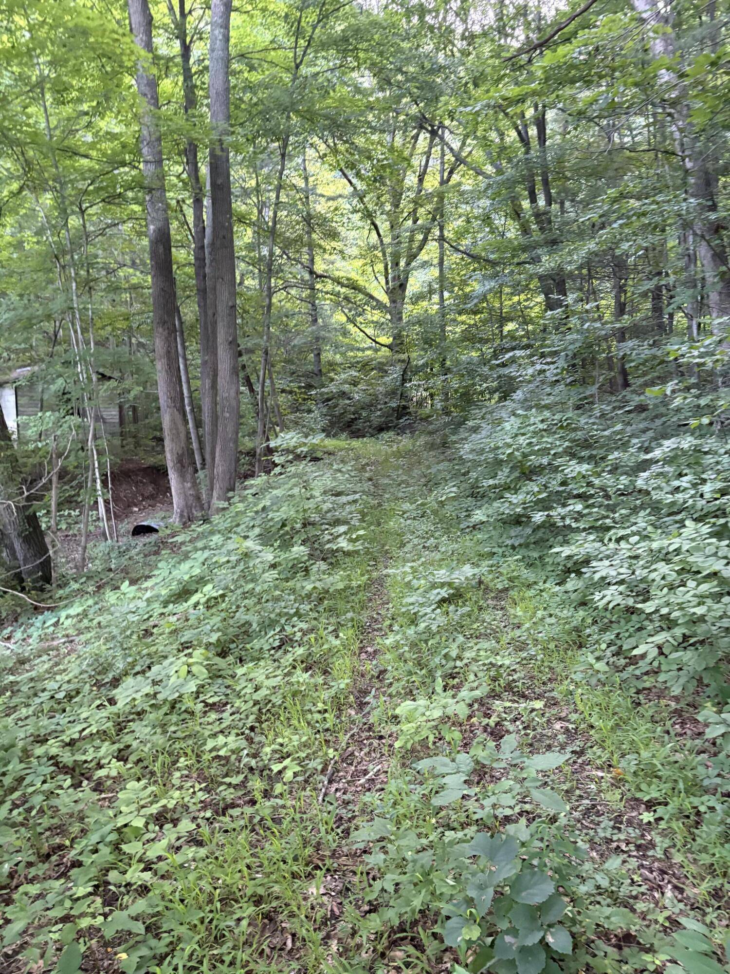 Covington, VA 24426,1604 Hoke RD