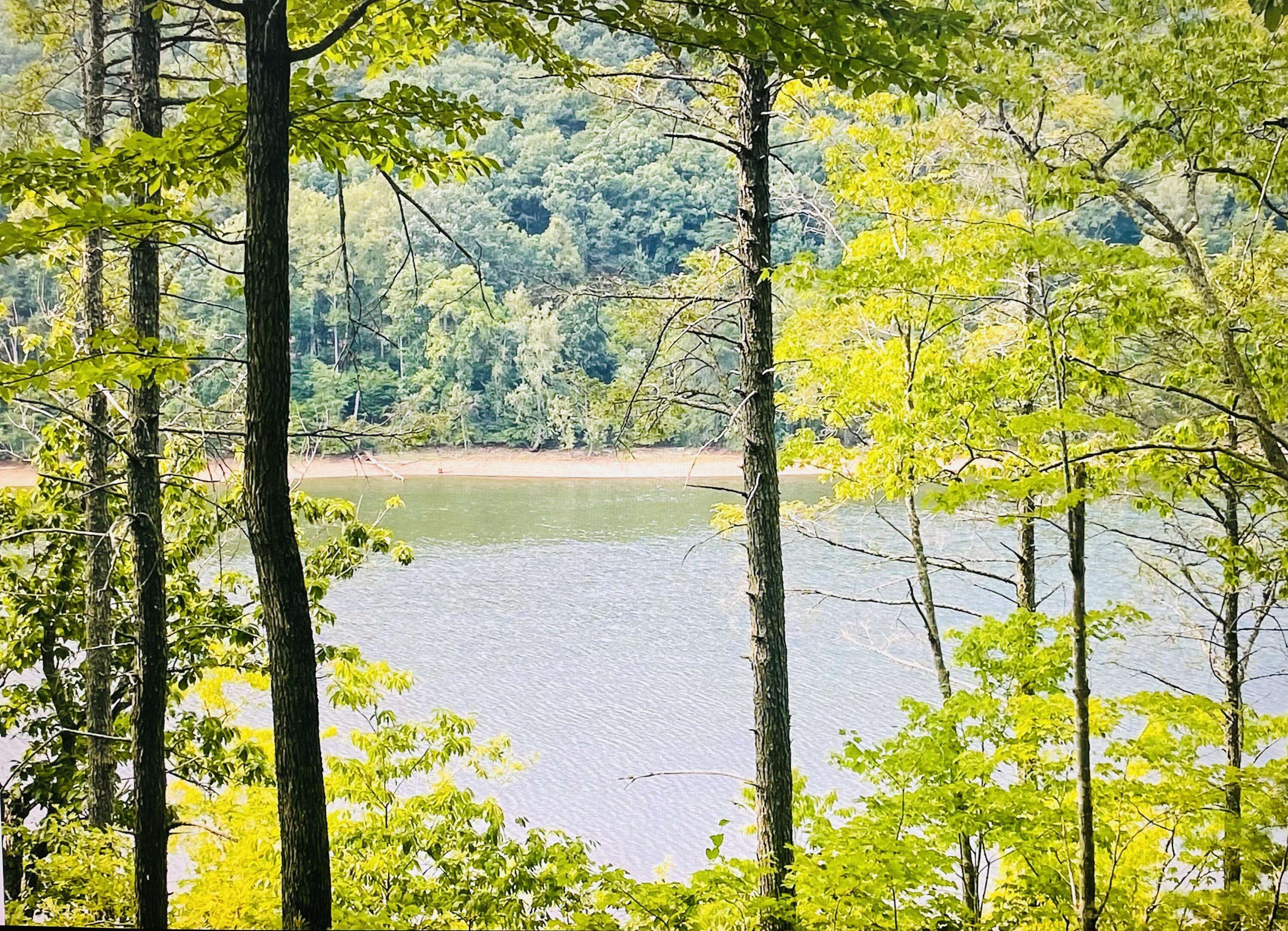 Pittsville, VA 24139,Lot 119 Greenberry DR