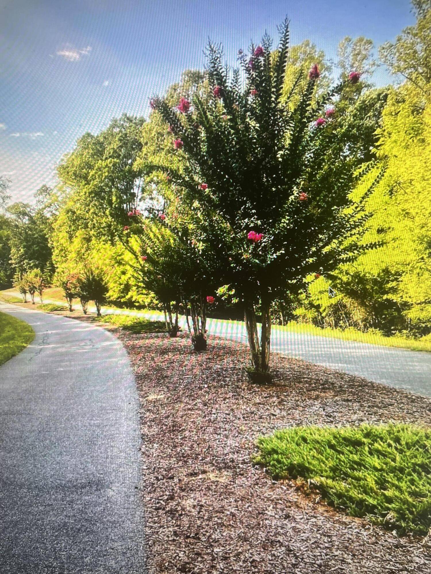 Pittsville, VA 24139,Lot 27 Garrison Ridge