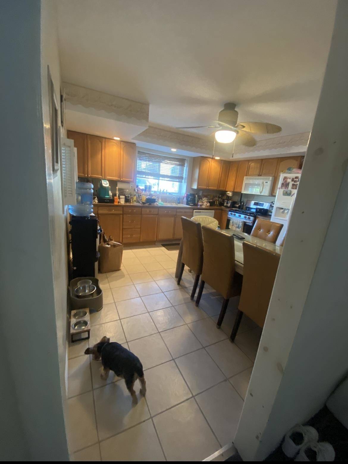 Wildwood Crest, NJ 08260,6905 Atlantic Avenue #Sand Dune Motel