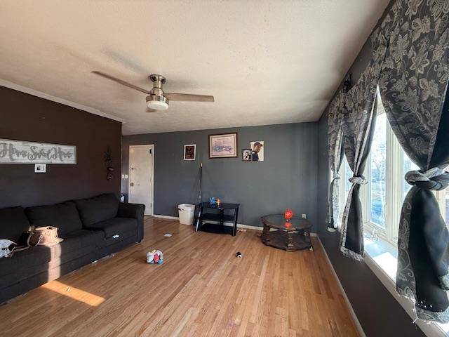Minot, ND 58703,1948 3rd St NW